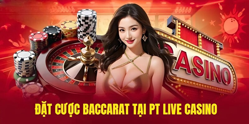 Đặt cược baccarat trực tuyến tại PT live casino