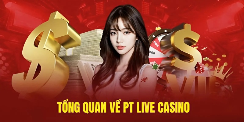 Tổng quan về sảnh PT live casino